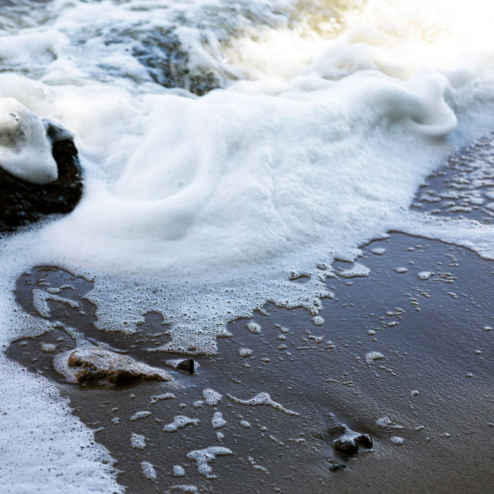 Björk Forma Hårt Hard Wax 75ml - Cancam