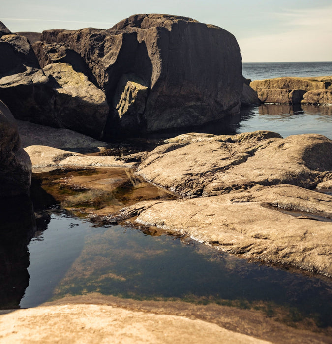 Björk Forma Lätt Light Wax 150ml - Cancam