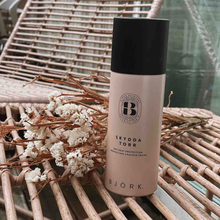 Björk Skydda Torr Mini 100ml - Cancam