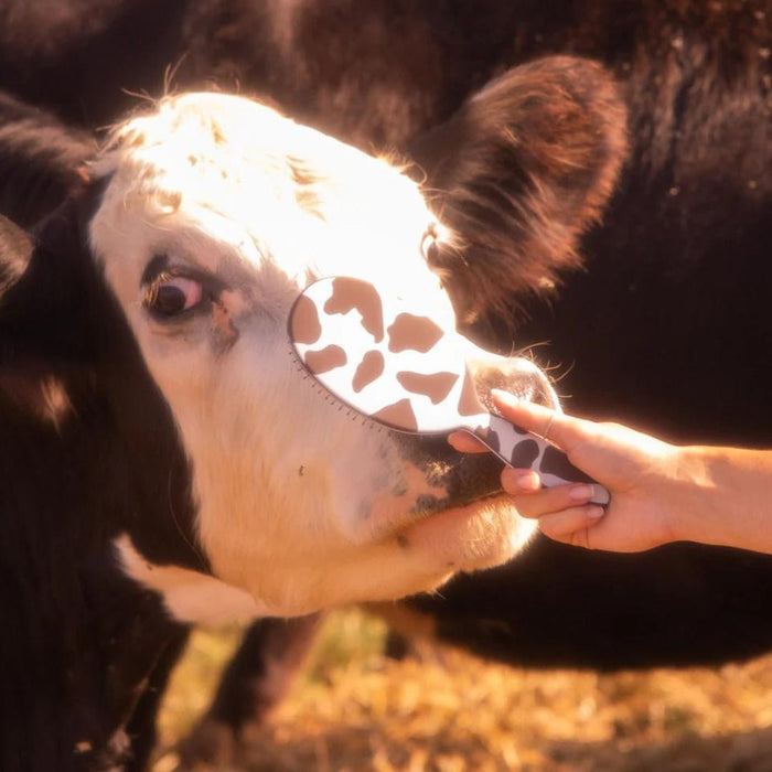 Framar Detangle Brush Yeehaw - Cancam