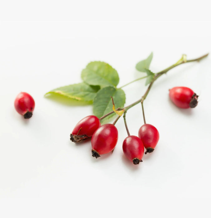 Lanza Bright Blonde Conditioner 250ml - Cancam