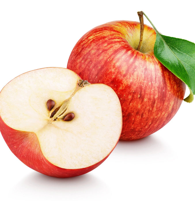 Lanza Butter Curl Conditioner 236 ml - Cancam