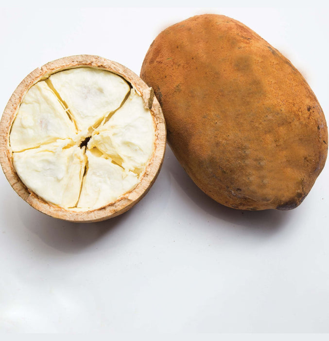 Lanza Butter Curl Whip Styling Foam 168ml - Cancam