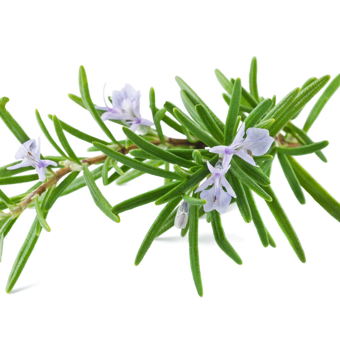 Lanza Dramatic F/X 300ml - Cancam