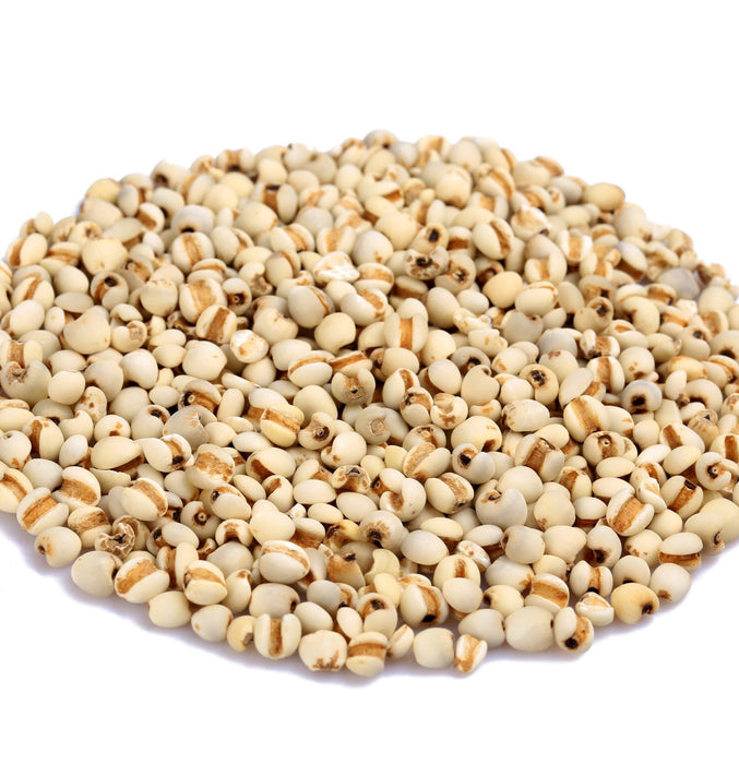 Lanza Glossifying Shampoo 300ml - Cancam