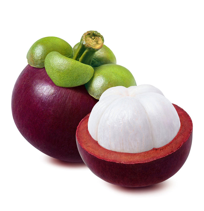 Lanza Glossifying Shampoo 300ml - Cancam