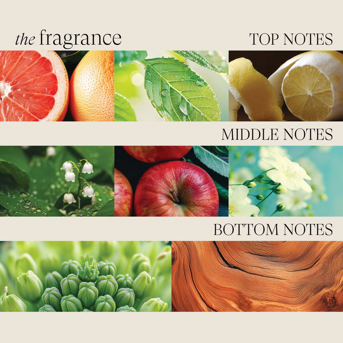 Lanza Healing Volum Conditioner 950 ml - Cancam