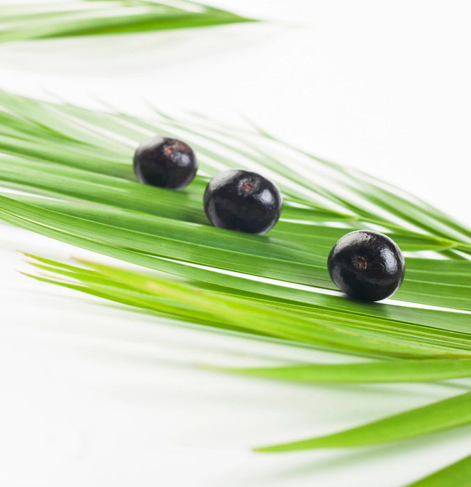 Lanza Keratin Healing Oil Conditioner 950 ml - Cancam