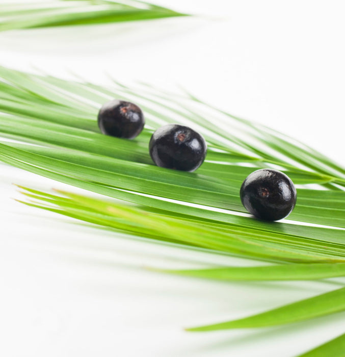 Lanza Keratin Healing Oil Masque 210ml - Cancam