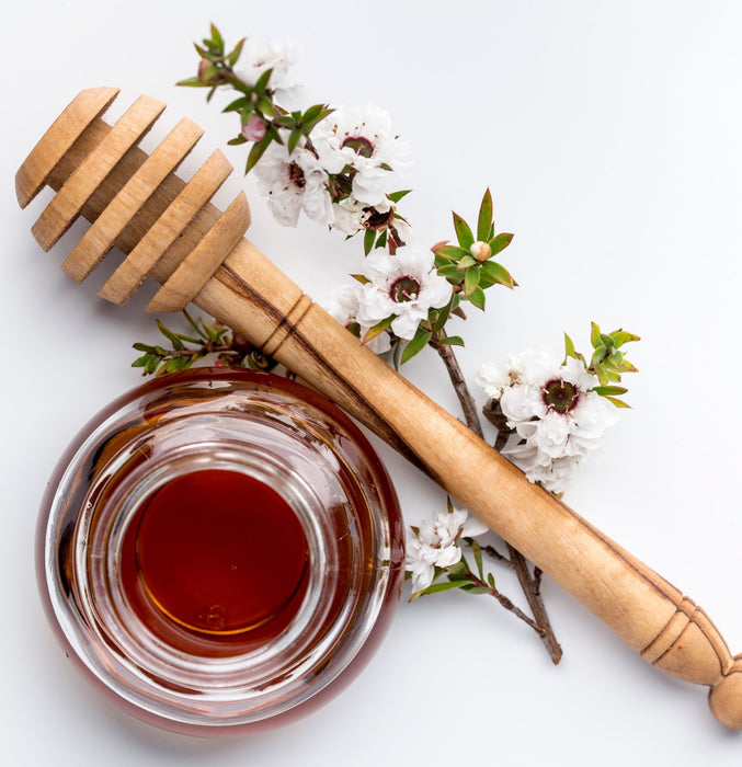 Lanza Manuka Honey Conditioner 250ml - Cancam