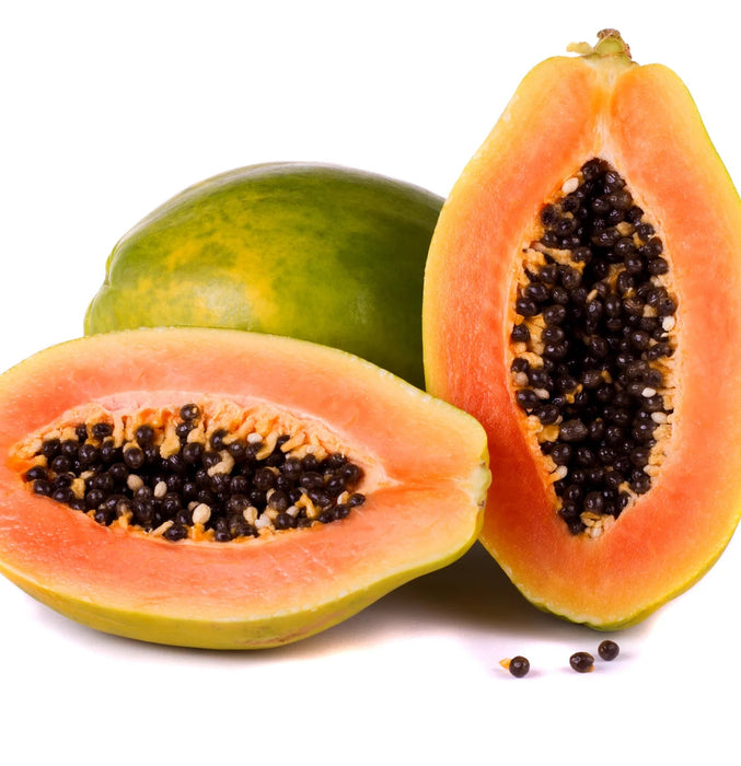 Lanza Remedy Conditioner 250ml - Cancam