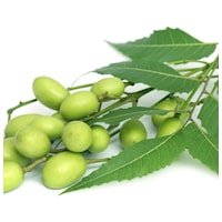 Lanza Strength Neem Plant Silk Serum 30 ml - Cancam