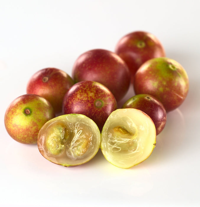 Lanza Taffy 75ml - Cancam