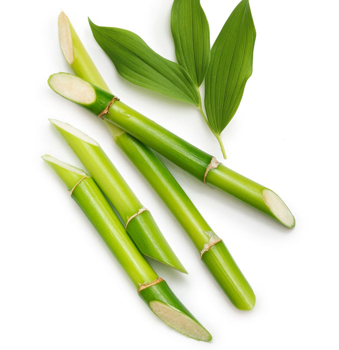 Lanza Thickening Shampoo 300ml - Cancam