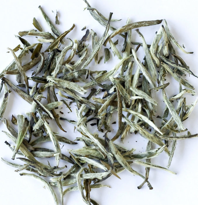 Lanza White Tea Shampoo 300ml - Cancam