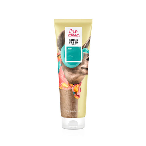 Color Fresh Mask Mint 150 ml - Cancam