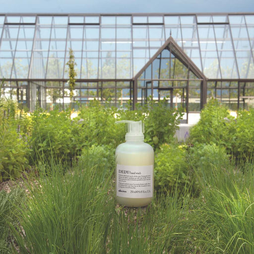 Davines Essential Dedy Handwash 250 ml - Cancam