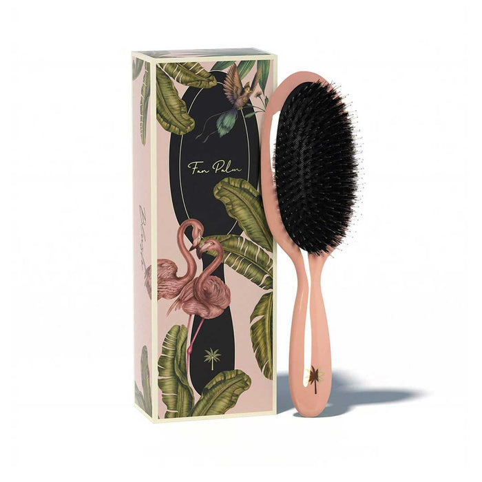 Fan Palm Blush Medium - Cancam