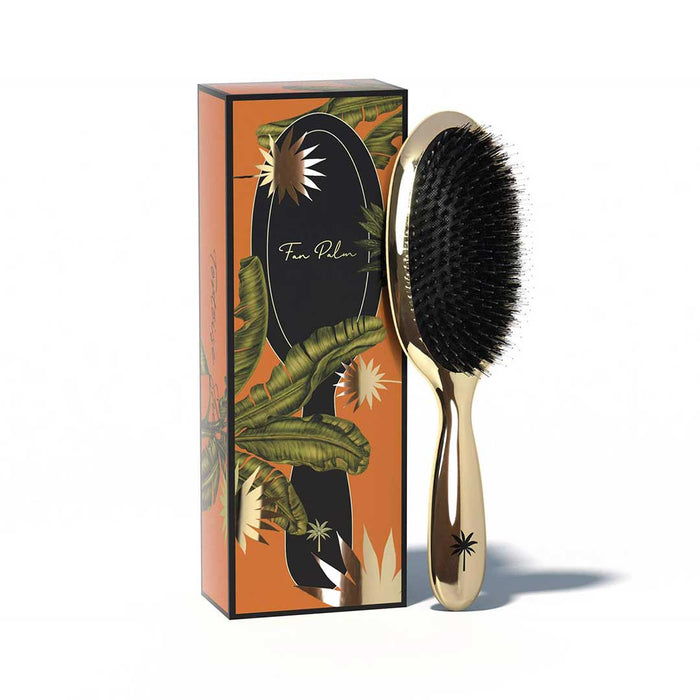 Fan Palm Hollywood Medium - Cancam