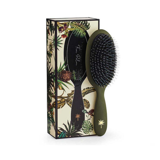 Fan Palm Jungle Medium - Cancam