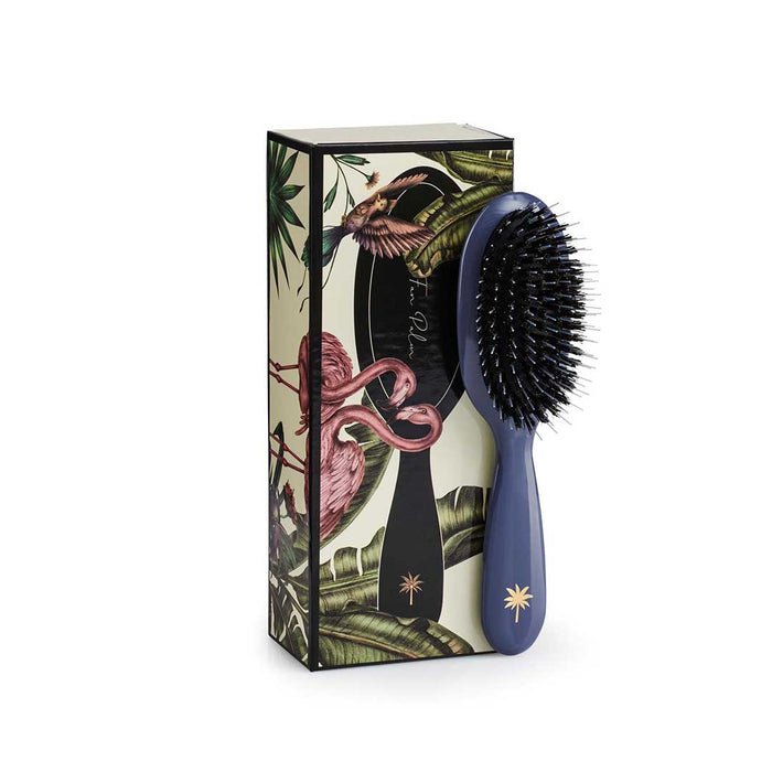 Fan Palm Moonlight Small - Cancam