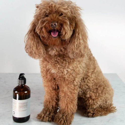 O-Way Duetto 240 ml - Cancam