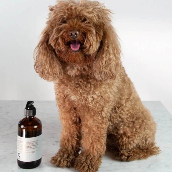 O-Way Duetto 240 ml - Cancam