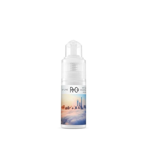 Randco Skyline Dry Shampoo Powder 28 ml - Cancam