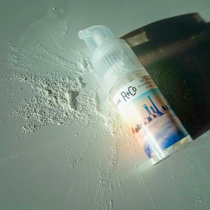 Randco Skyline Dry Shampoo Powder 28 ml - Cancam