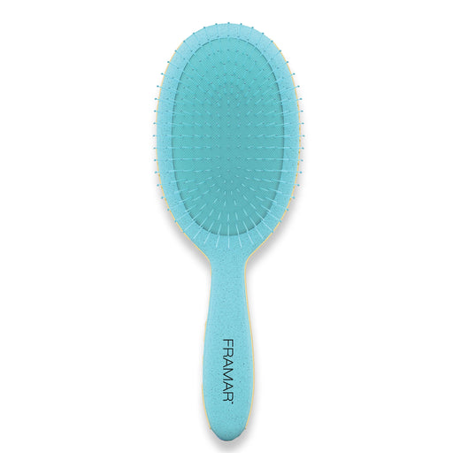 Framar Detangle Brush Baecation Aqua - Cancam