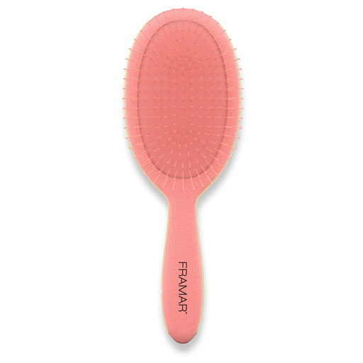 Framar Detangle Brush Baecation Coral - Cancam