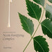Lanza Healing Strength Shampoo 300 ml - Cancam