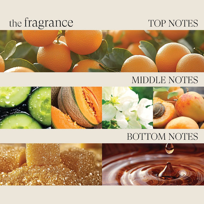 Lanza Healing Strength Shampoo 950 ml - Cancam