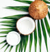 Lanza Moi Moi Hair Masque 200ml - Cancam