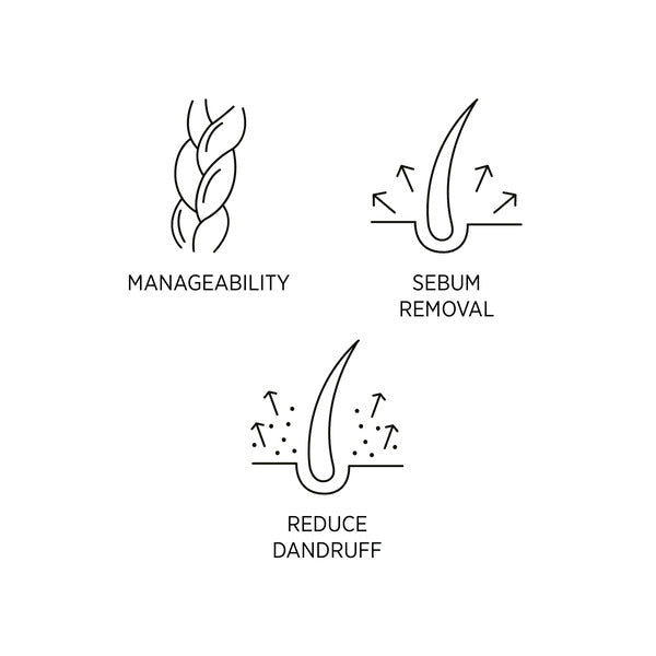 System Professional Purify Shampoo 1000 ml - Cancam