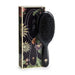 Fan Palm Stardust Large - Cancam