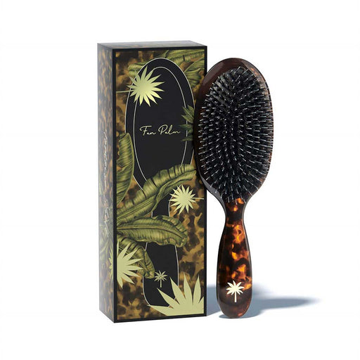Fan Palm Tortiose Medium - Cancam