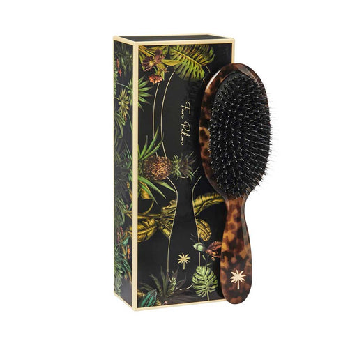 Fan Palm Turtle Medium - Cancam
