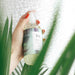 Randco Relative Paradise Fragrance Spray 241 ml - Cancam